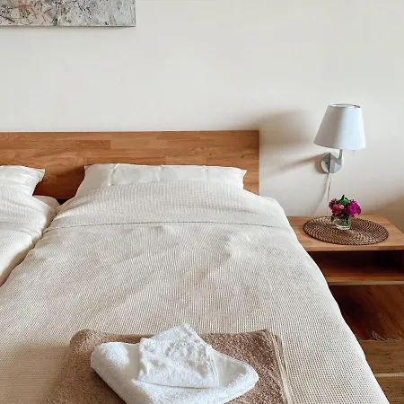 Findling 公寓 赖歇瑙